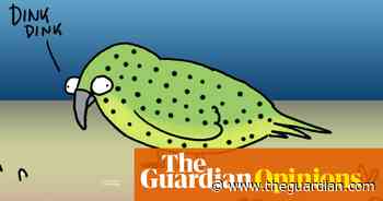 Once thought to be extinct, the night parrot is back in the news! Is it saved? | First Dog on the Moon