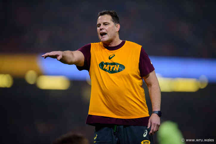 Rassie’s beaten Boks ready to hit back to clinch Rugby Championship