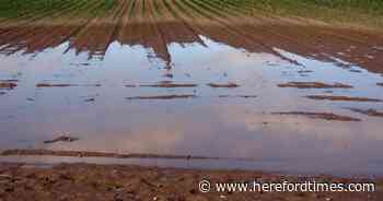 Flood warnings and delays continue in Herefordshire