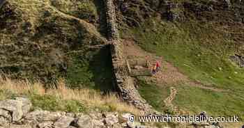 I visited Sycamore Gap a year on from its felling and it's still one of the most spectacular places in Northumberland