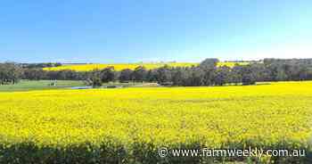 Continuous cropping or mix crops with livestock on this well-located South West farm