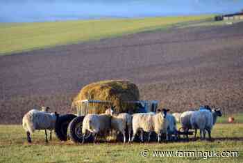 Kent council passes motion to proactively support local farmers