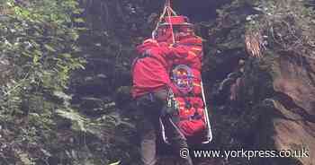 Dog walker rescued after falling over 10 metres down ravine in North Yorkshire