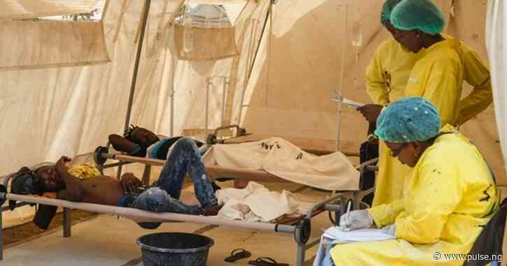 Yobe records 132 cholera cases, 9 deaths in 1 month, govt urges swift action