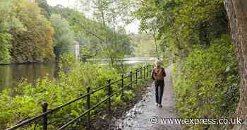 Water companies give only 2% of budget to natural infrastructure, campaigners warn