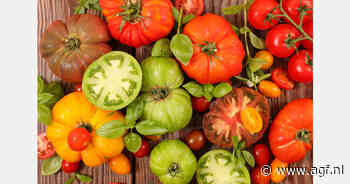 Spaanse tomatenexport afgelopen tien jaar met een derde gedaald