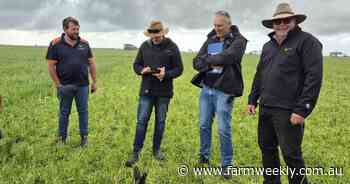 ASHEEP & BEEF Spring Field Day: Pasture research and producer innovation