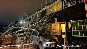 Boom valt op geparkeerde auto na sterke wind