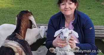 Mum impales herself on wooden spike trying to protect her pet goats