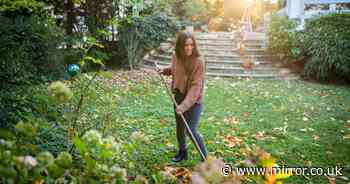 Gardening expert explains top jobs that must be done this weekend