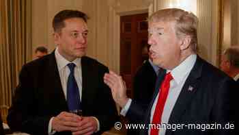 Elon Musk: Organisation von Tesla-Chef macht Wahlkampf für Donald Trump in Schlüsselstaaten