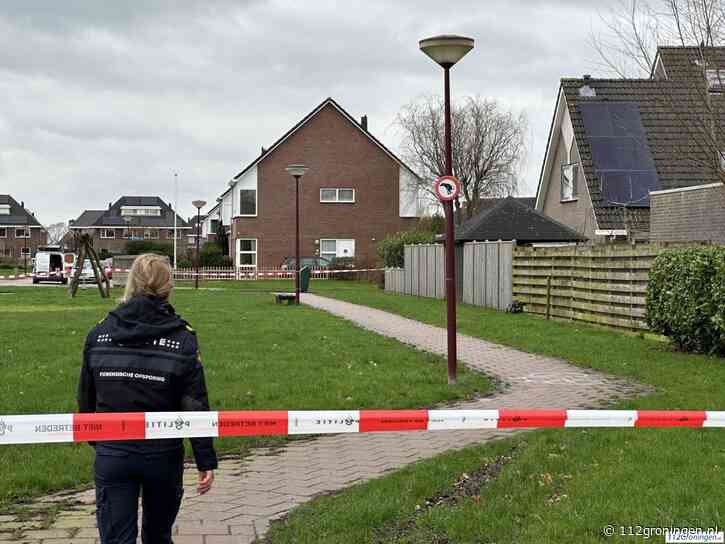 Verdachte van moord op Jet(17) uit Winsum verschijnt dit jaar voor rechter