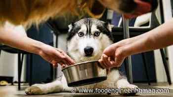 How Inspection Technologies Can Support Manufacturing of ‘Human-Grade’ Pet Food