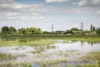 Heavy rainfall leads to localised river and surface water flooding