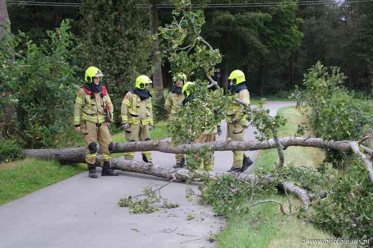 Brandweer verwijdert omgevallen boom na stormachtige wind