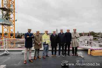 Sluitstuk woonproject Schelde-Eiland bereikt hoogste punt en dat wordt met meiboom gevierd