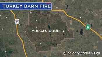 Thousands of baby turkeys killed in Vulcan County barn fire