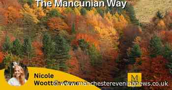 The Mancunian Way: An autumn activity special