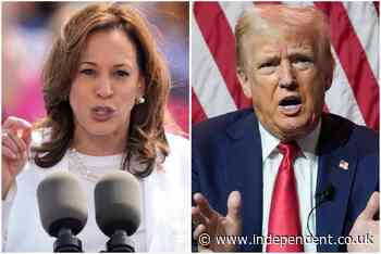 Trump v Harris live: New poll reveals Harris’s lead in swing state ahead of Trump’s meeting with Zelensky