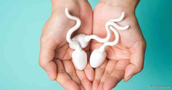 5 things that definitely aren’t good for sperm, according to a doctor