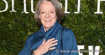 Maggie Smith's candid verdict on why Harry Potter and Downton Abbey roles didn't satisfy her