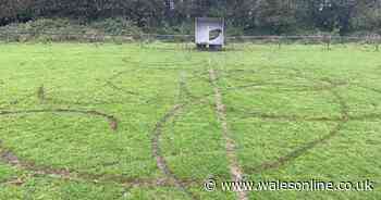 Welsh rugby pitch ripped up by act of 'mindless vandalism'