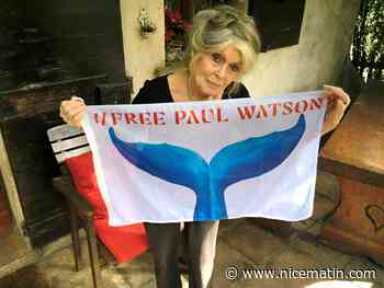 A l’orée de ses 90 ans Brigitte Bardot agite de Saint-Tropez un drapeau solidaire pour Paul Watson