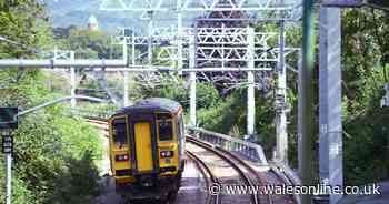 Person dies after being hit by train near station