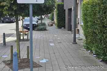 Ophaaldienst vergeet enkele straten: papier slingert “al drie dagen” rond in Hasseltse Oude Kuringerbaan