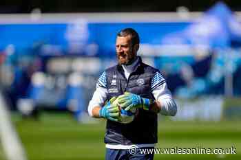 Tonight's Cardiff City news as club appoint new coach and bolster transfer department