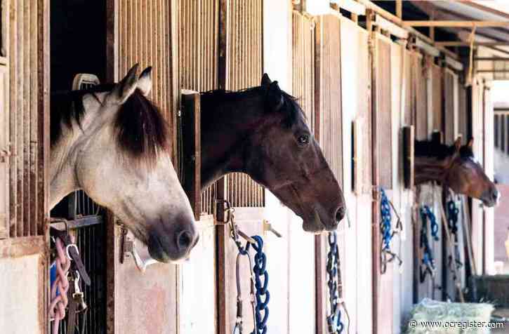 New plans unveiled for the equestrian-focused Ranch Community Center at OC fairgrounds