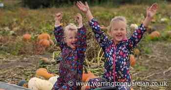 Pumpkin picking and new spooky trail open at Tatton Park this October half-term