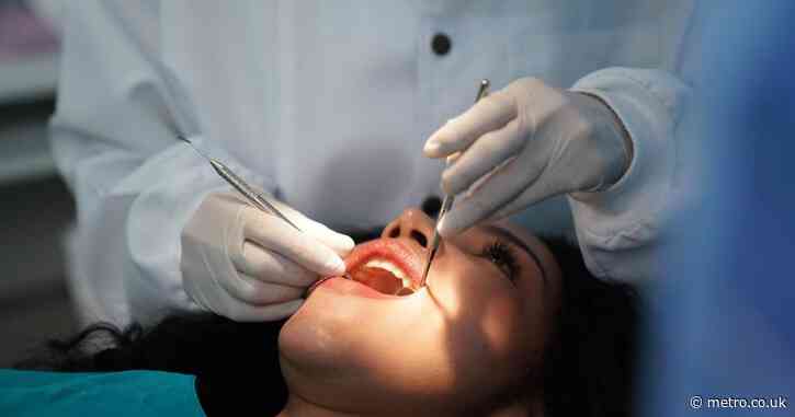 8 things your dentist knows you’re lying about — and yes, they can tell you’ve given head