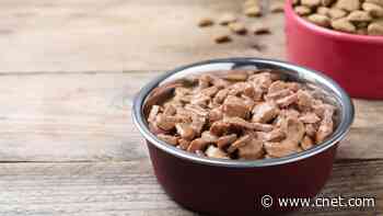 Salmonella and Listeria Found in 2 Pet Food Brands: Everything to Know