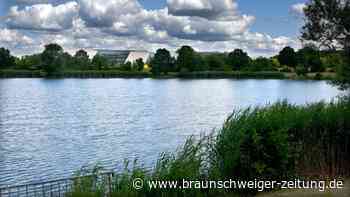 Wolfsburgs Waldstadt ist als Name nur schöner als Mitte-West