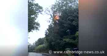 Tree falls onto overhead cables causing sparks and leaving Cambs homes without power