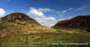 'Hope' one year on from Sycamore Gap felling as exhibition launched with day of celebration