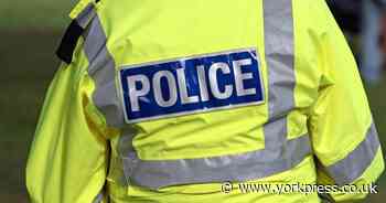 Teenager arrested on suspicion of affray following disturbance in Norton