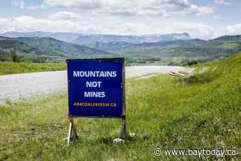 Alberta Energy Regulator to hold Rocky Mountain coal hearings despite legal challenge