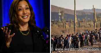 Rancher Who's Dealt With Devastating Impact of Illegal Immigration Sends Message to Kamala Ahead of Border Visit