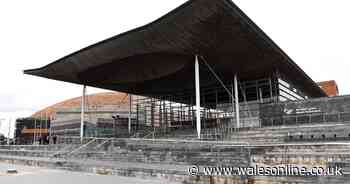 Senedd budget to increase as expansion plans are funded