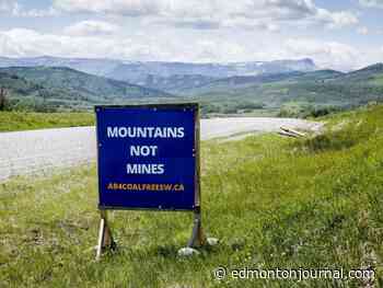 Alberta Energy Regulator to hold Rocky Mountain coal hearings despite legal challenge