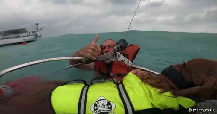 Moment sailor and his dog rescued from sinking boat during Hurricane Helene