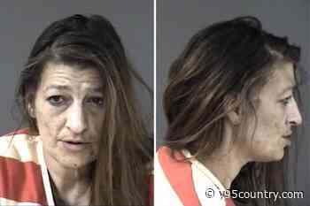 Domestic Incident Leads to Felony Charges for Cheyenne Transient