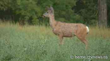 Hunting season kicks off with safety tips and reminders from police