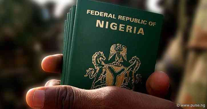 Immigration cleared 204,332 passport applications in 10 months - Minister