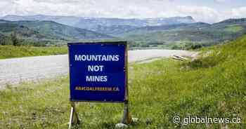 Alberta regulator to hold Rocky Mountain coal hearings despite legal challenge