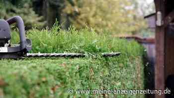 Steuererklärung: In diesen Fällen lassen sich Gartenarbeiten absetzen