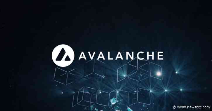 Avalanche (AVAX) 25% Surge Fueled By New Initiatives To Support Developers