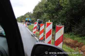 Ampel soll Ende Oktober in Betrieb gehen